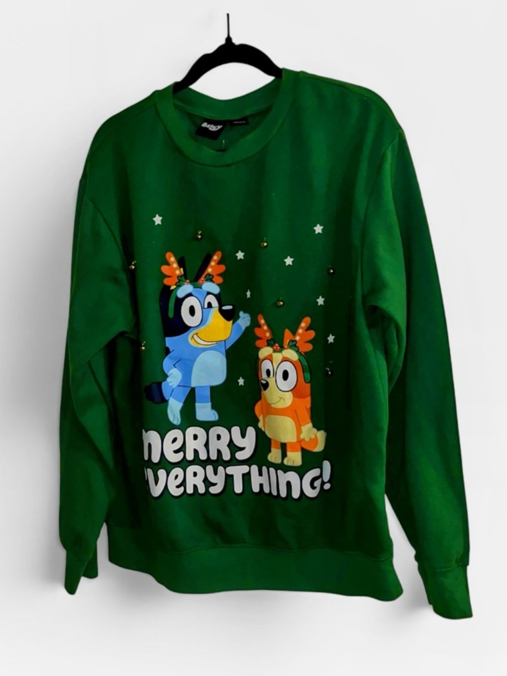 Bluey green merry everything Christmas holiday sweatshirt sweater men’s large L